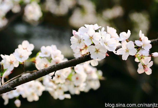 image001.jpg image001.jpg