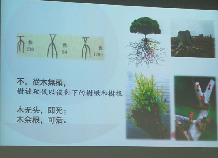 image051.jpg image051.jpg