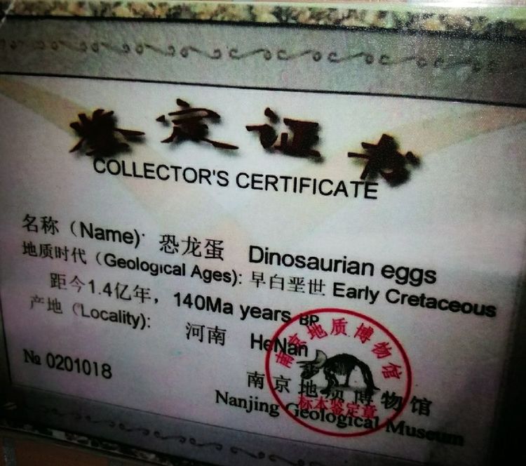 image031.jpg image031.jpg